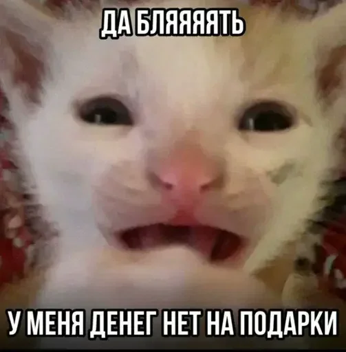 Стикер uQMIPEK_by_achestickbot - 1