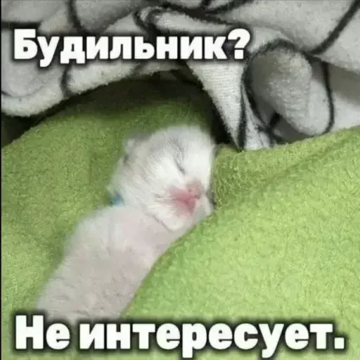 Sticker uQMIPEK_by_achestickbot - 1