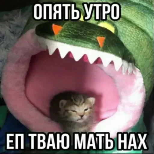 Sticker uQMIPEK_by_achestickbot - 1