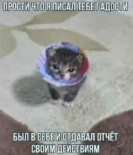 Стикер Больше стиков тут: @stikery4 - 6