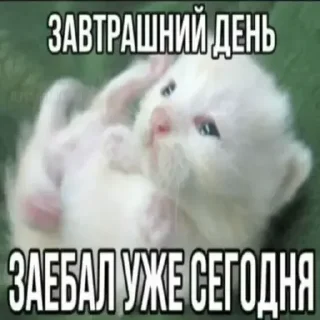 Стикер Больше стиков тут: @stikery4 - 5