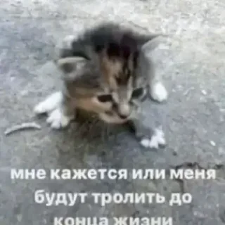 Стикер Больше стиков тут: @stikery4 - 8