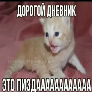 Стикер Больше стиков тут: @stikery4 - 9