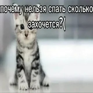 Стикер Больше стиков тут: @stikery4 - 2