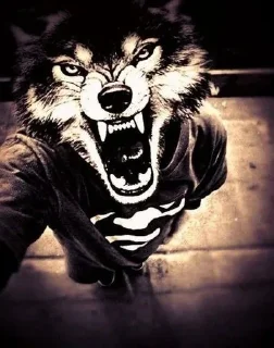 Стикер Больше стиков тут: @stikery4 - 2