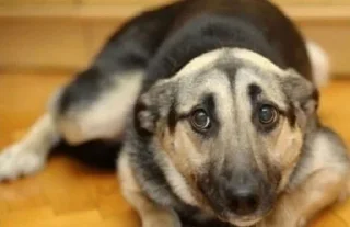 Стикер Больше стиков тут: @stikery4 - 11