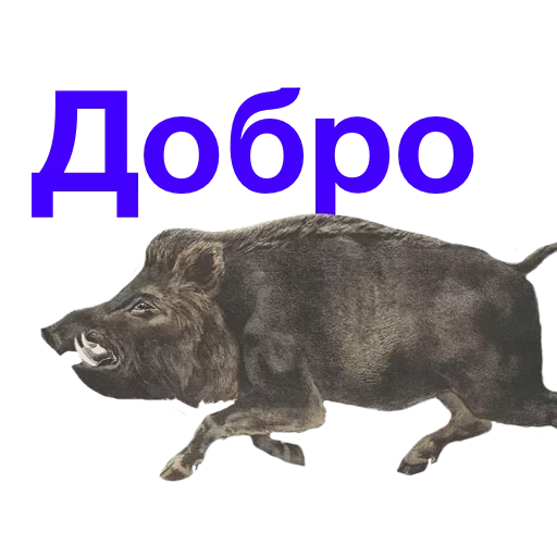 Sticker uRSCoZl_by_achestickbot - 1