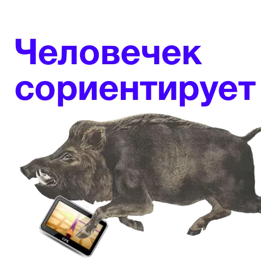 Sticker uRSCoZl_by_achestickbot - 1