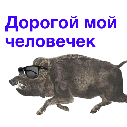 Стикер uRSCoZl_by_achestickbot - 1