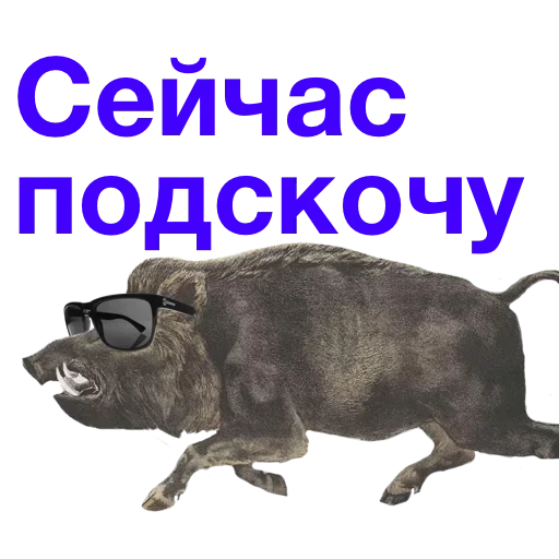 Sticker uRSCoZl_by_achestickbot - 1