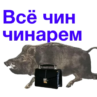 Стикер Больше стиков тут: @stikery4 - 1