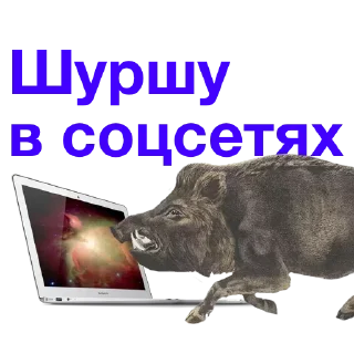 Стикер Больше стиков тут: @stikery4 - 3