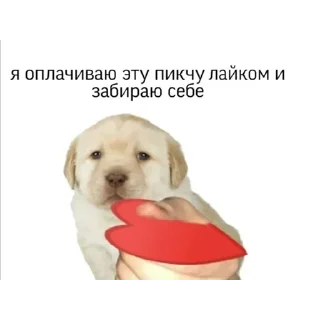 Стикер Больше стикеров 👉🏻 @stickertg4 - 2