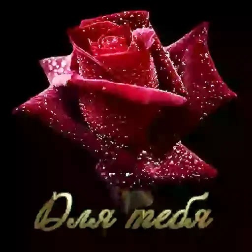 Sticker uUt_S91xqn - 4