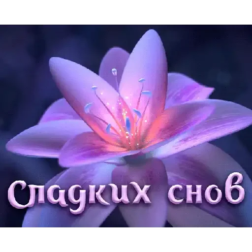 Sticker uUt_S91xqn - 3