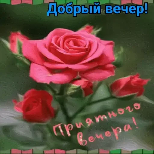 Sticker uUt_S91xqn - 0