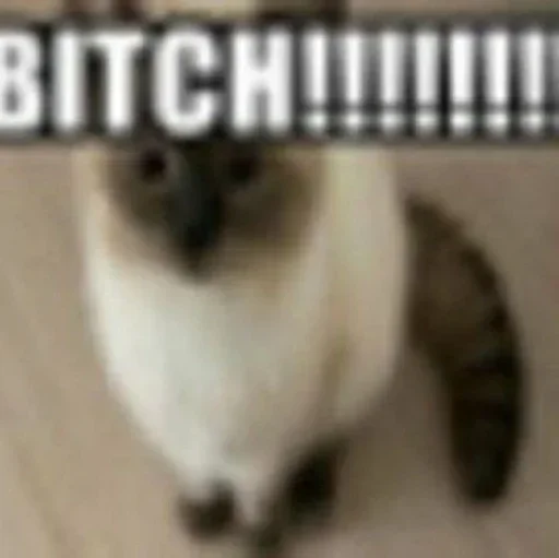 @stiki_tg_nah_canal - 