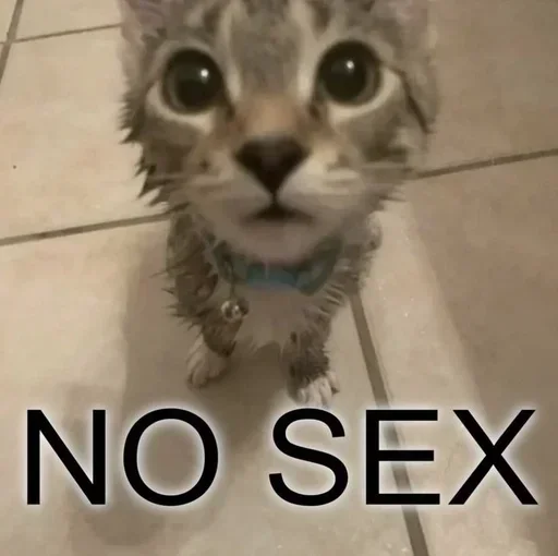 Sticker uXUSCPRzsJd_by_stickers_stealer_bot - 1