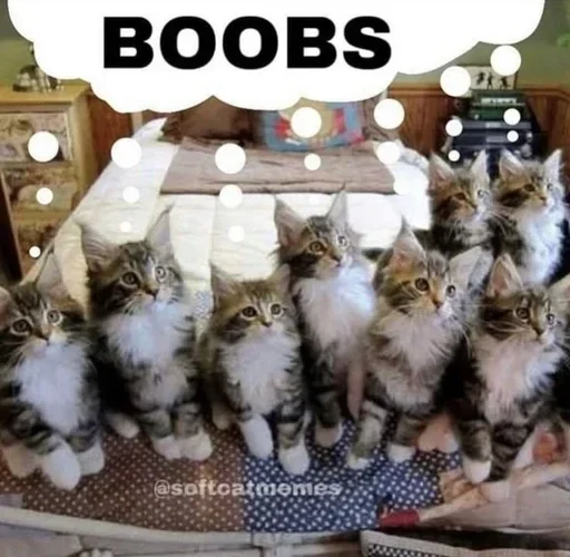 Sticker uXUSCPRzsJd_by_stickers_stealer_bot - 1