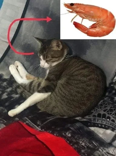 Sticker uXUSCPRzsJd_by_stickers_stealer_bot - 1