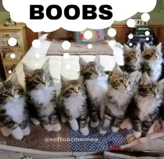 Sticker @stiki_tg_nah_canal - 6