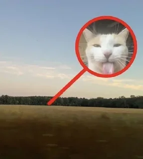 Sticker @stiki_tg_nah_canal - 7