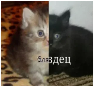 Sticker Больше стикеров 👉🏻 @stickertg4 - 9