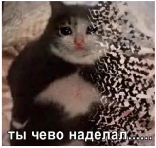 Sticker Больше стикеров 👉🏻 @stickertg4 - 10