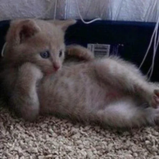 Sticker люблю вино - 3