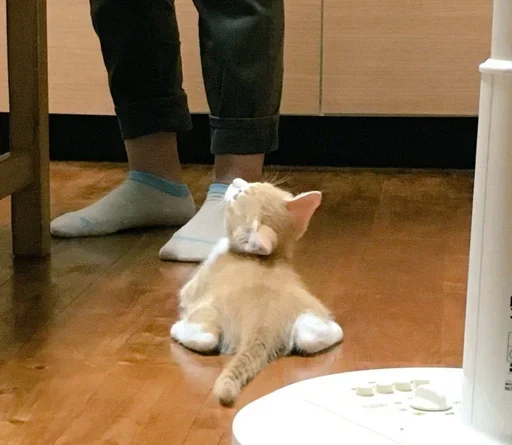 Стикер ♡ - 10