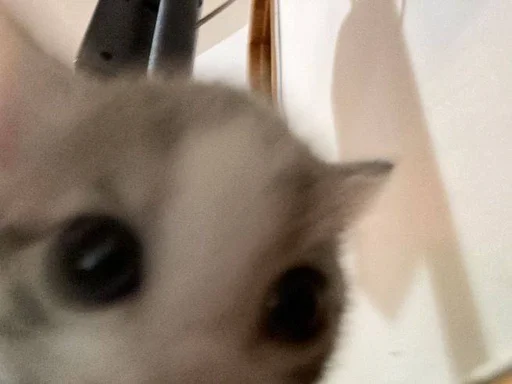 Стикер ♡ - 9