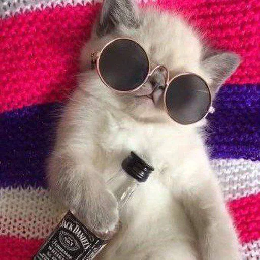 Стикер ♡ - 8