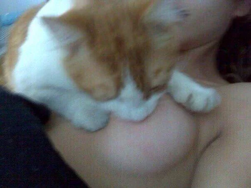 Стикер ♡ - 7