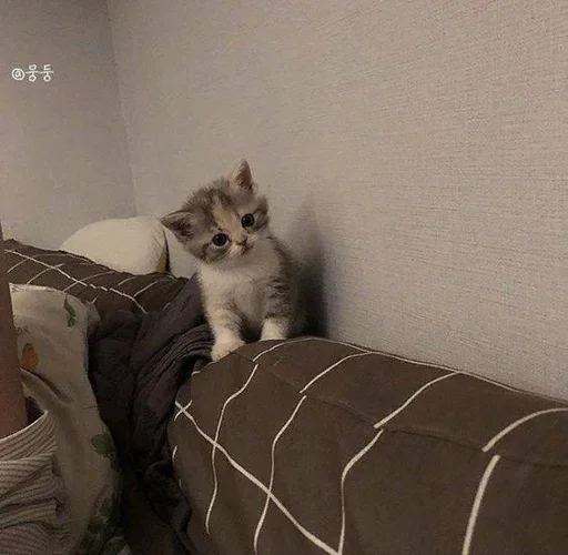 Стикер ♡ - 6