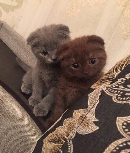 Стикер ♡ - 4