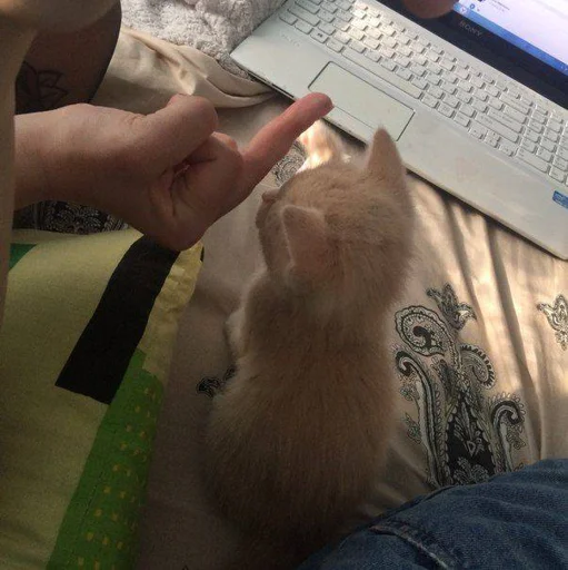 Стикер ♡ - 2