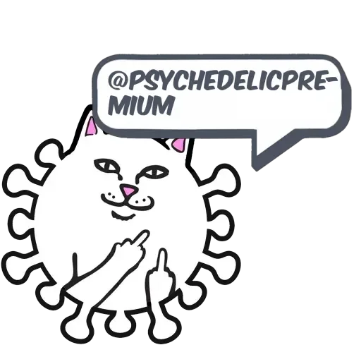 🎼𝘼𝙎𝙐𝙍-𝙃𝘼𝙉🎼 @memdeleevBot - 