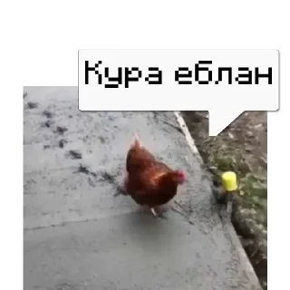 Sticker Общак @memdeleevBot - 1