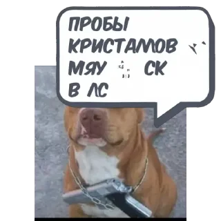 Sticker Edris @memdeleevBot - 1