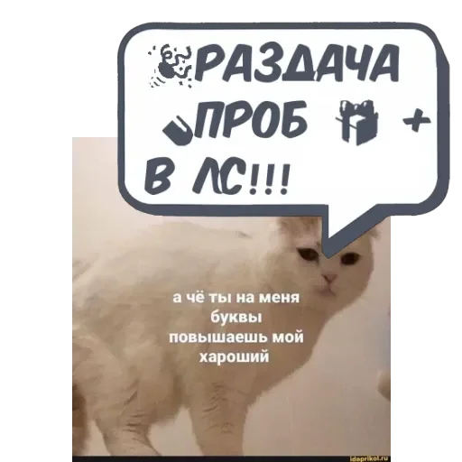 Ирина @memdeleevBot - 