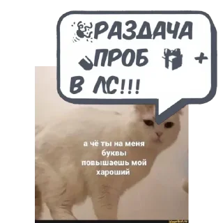 Стикер Ирина @memdeleevBot - 0