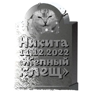 Sticker Никита @mogilkaBot - 9