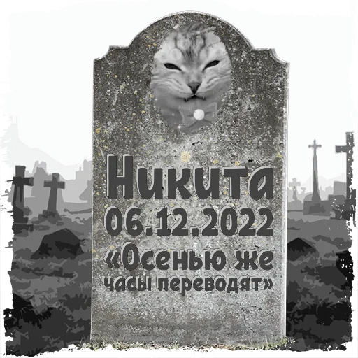 Никита @mogilkaBot - 