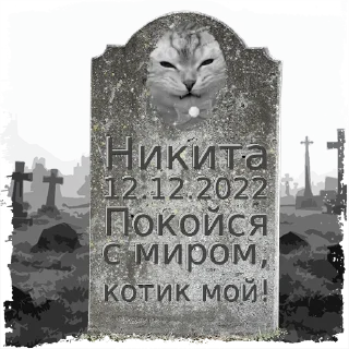 Sticker Никита @mogilkaBot - 6