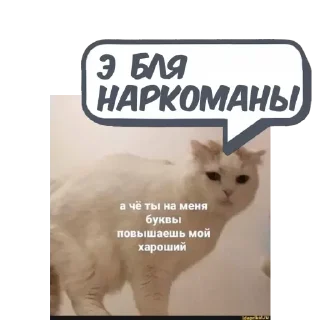 Sticker No @memdeleevBot - 11