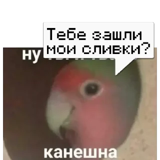 Sticker No @memdeleevBot - 4