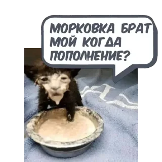 Sticker No @memdeleevBot - 0