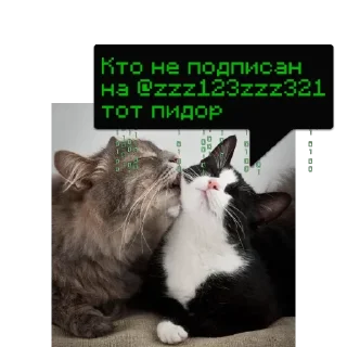 Sticker 4ToTo_TyT_He_Ta @memdeleevBot - 11