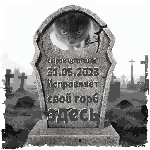 сырокчулвлш😭 @mogilkaBot - 