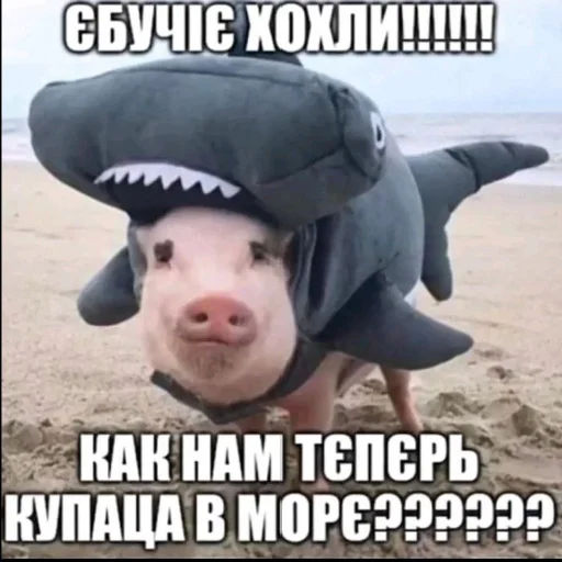 Укрвахуї - 